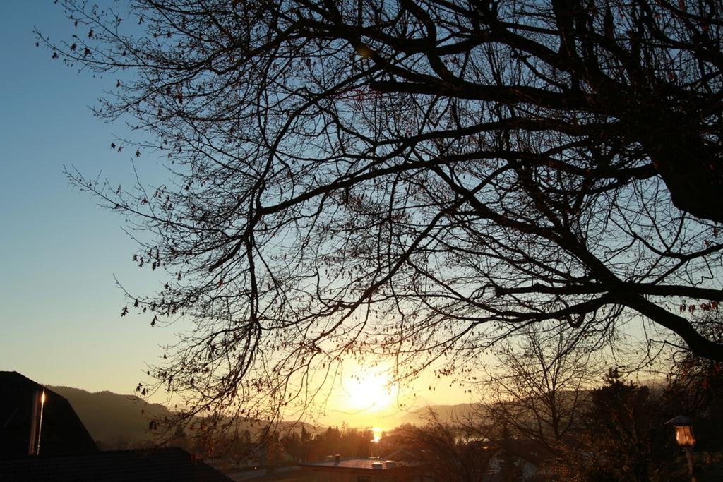 Pörtschach am Wörthersee Ferienwohnungen Fiala-Koefer מראה חיצוני תמונה