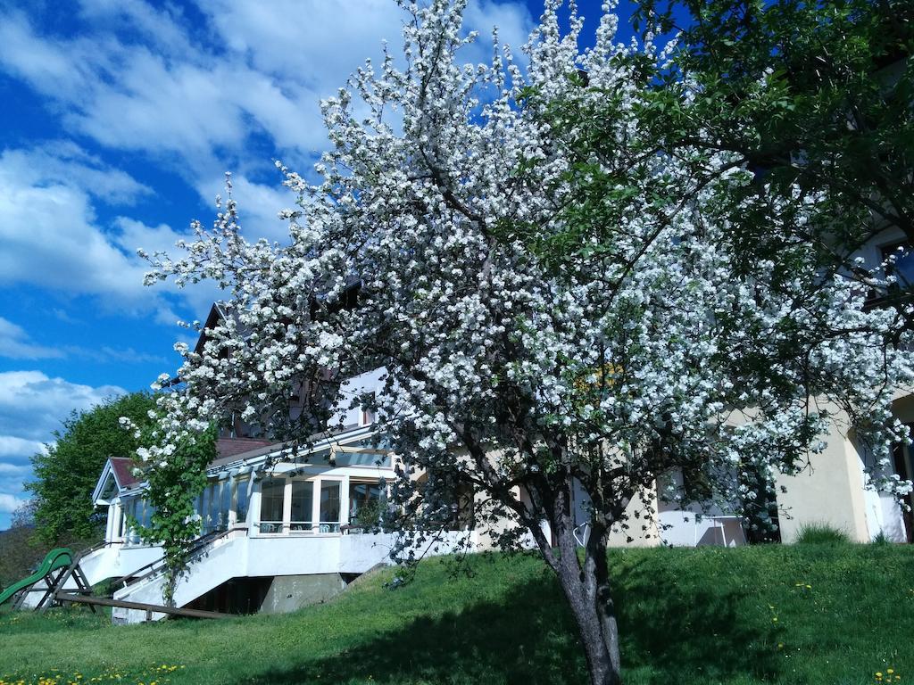 Pörtschach am Wörthersee Ferienwohnungen Fiala-Koefer מראה חיצוני תמונה